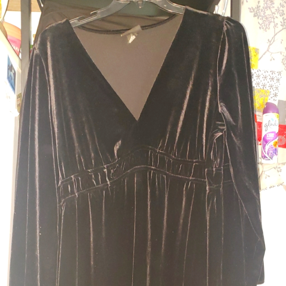 Black velvet  lane Bryant